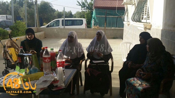 neswa2 da3sajwa (4).jpg